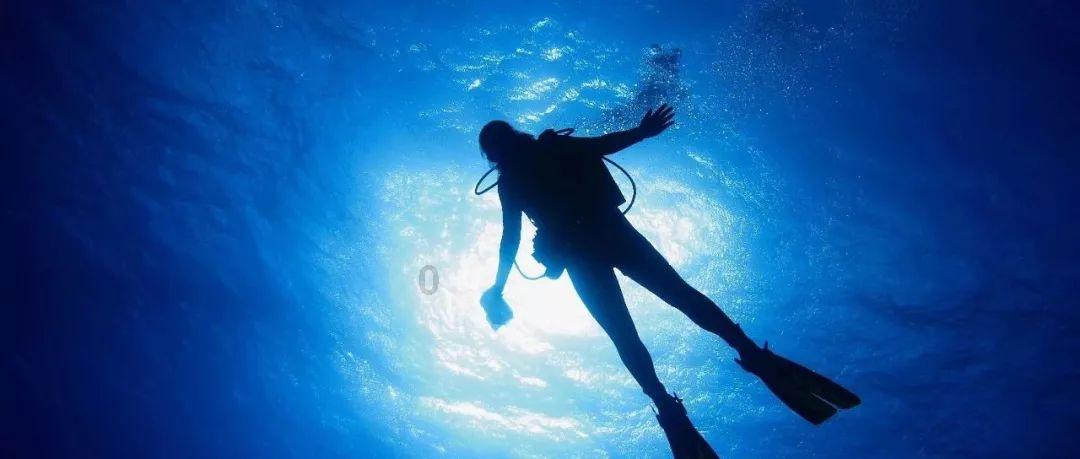 “流动议事桌”,让社区服务更有温度